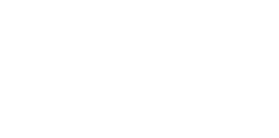 gruppo-selini_logo-w gruppo selini logo w